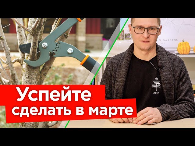 ВАЖНЫЕ РАБОТЫ В САДУ В МАРТЕ! Первая обработка и подкормка, обрезка деревьев и кустарников