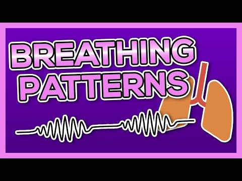 Breathing Patterns Case Study Hesi
