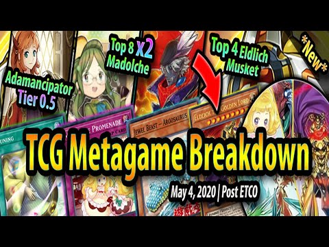 Madolche Top 8! Eldlich Musket top 4! POST ETCO | TCG Metagame Breakdown (MAY 2020)