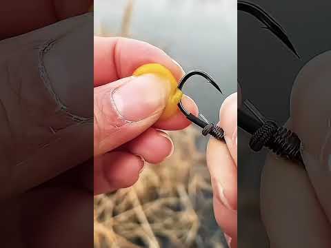 Floating Bait #fishing #fish #kerncountyfishing #bigcatfeverrods #carp #freshwaterfish #fishon #lol