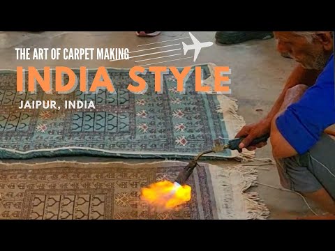 BUYING A CAMEL HAIR and KASHMIR RUG IN JAIPUR, INDIA 🛍️🐫🐏✈️