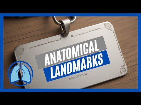 Identifying Anatomical Landmarks of the Body