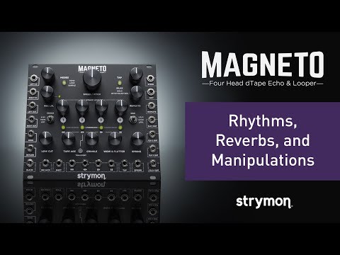 Strymon Magneto image 2