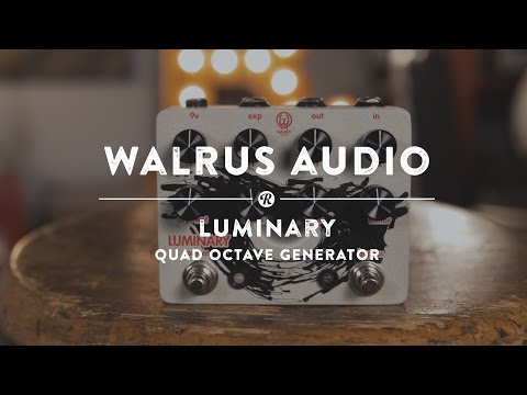 Walrus Audio Luminary Octave Generator image 8