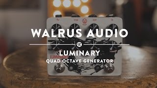 Video thumbnail for Walrus Audio Luminary Quad Octave Generator | Reverb Demo Video by Reverb