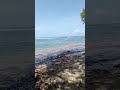 MAJINI YANAYOISHI BAHARINI