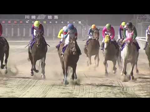 Glanzend (JPN) wins Kawasaki Milers race 11 at Kawasaki 5/13/2020