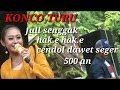 KONCO TURU DIAN RONI NEW ANIKA MUSIK