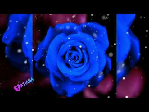 Serge Nova & Neoclubber - I Feel Alone