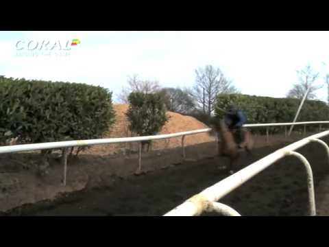 Cheltenham Festival 2015  Willie Mullins on Hurdlers
