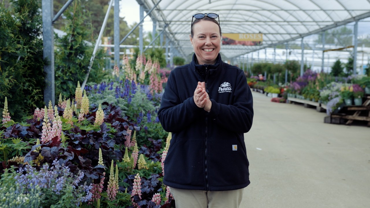 Perennial Blooms for May