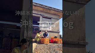 【沖縄移住】田舎に引っ越しました。日常vlog🌾 #沖縄移住 #田舎暮らし #東村 #東村アンバサダー #パイナップル