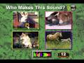 Who Makes This Sound From Kids Zoo A Baby Animal Adventure MS DOS Packard Bell Version