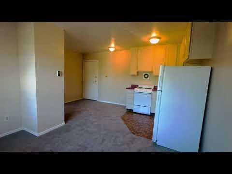 Hertzel - High St - Video 2 of 2