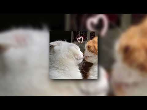 i hope she loves me back - boy pablo (sped up)