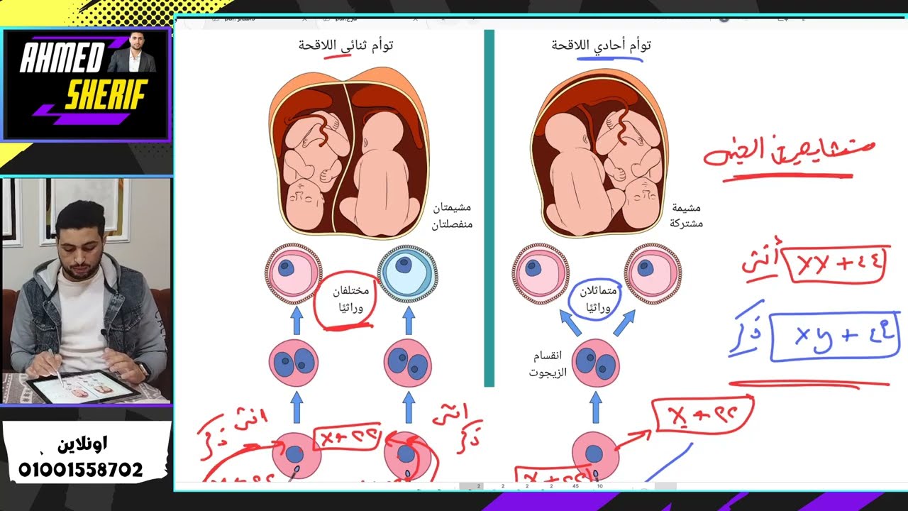 التوائم ووسائل منع الحمل وتقنيات الإنجاب بالتفصيل (أطفال الأنابيب والحقن ال?