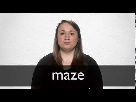 480px x 360px - Maze definition and meaning | Collins English Dictionary