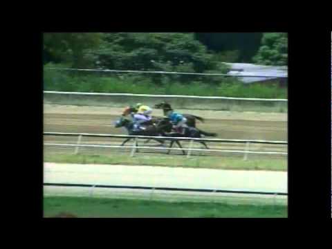 Se lanzó el jinete A Brito. Aníbal se escapó y se mató contra la baranda