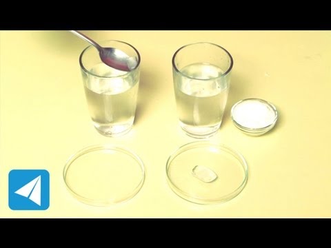 Make a freezing mixture by adding salt to water | Water | Physics
