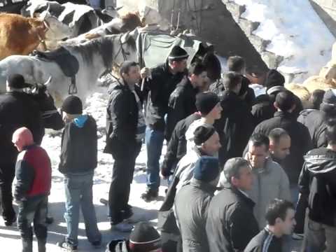 2012 Restelica I izlozba