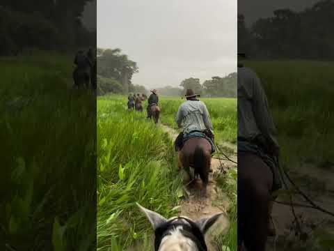 #llano #camaguan #esterosdecamaguan #guarico #venezuela