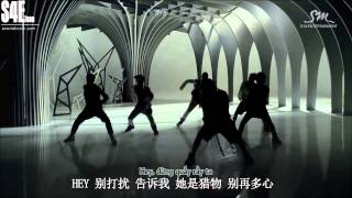 [Vietsub.Kara.Pinyin][S4E TEam] EXO - WOLF (Chinese Version)[EXOVIETNAM.COM]