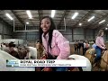 Andy S Adventures Riding Horses With The Rose Festival Princesses
