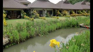 preview picture of video 'Maekok River Village Resort, Thaton, Northern Thailand'