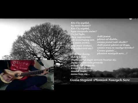 Gosia Stępień  Płomien Naszych Serc cover