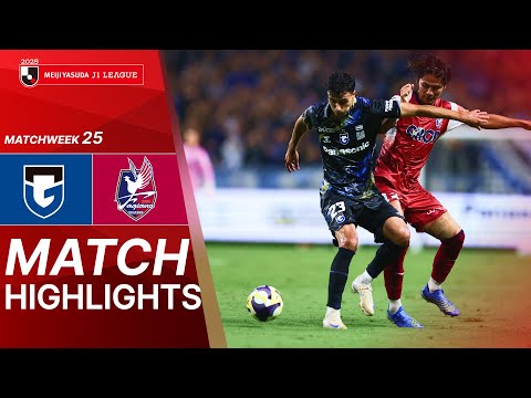 bg-highlight
