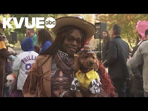 Pets show off Halloween costumes in Chicago parade - YouTube