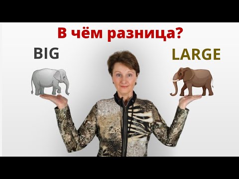 Big или Large – В чем разница?-  Confusing words  – DA English