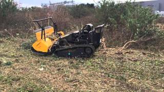 Pg groundcare ltd with Verge/flail Mower at Hollybank