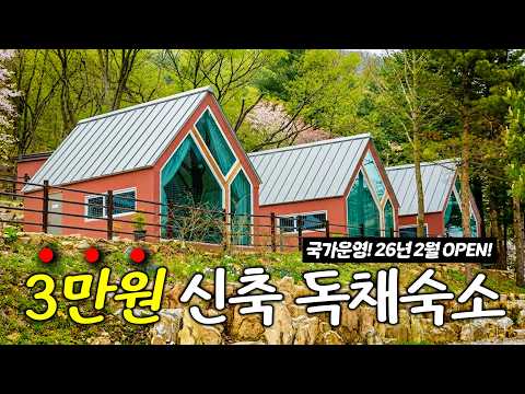 저렴하게 즐기는 프라이빗 독채! 계룡산 생태탐방 숙소의 매력