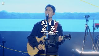 밀알 (피아버전) / THE WHEAT (FIA.Ver) - 피아워십