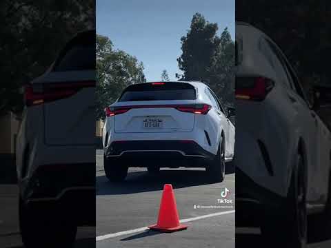 Full-Width Blade Tail Lamps on the 2022 Lexus NX | Lexus Stevens Creek