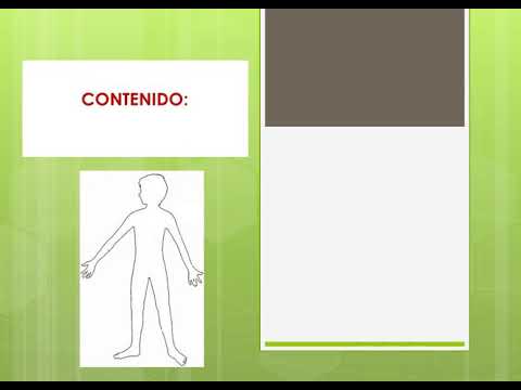 Nuch'akul - Partes del cuerpo humano, 5° y 6° primaria