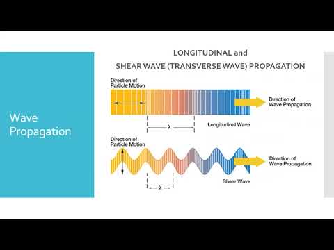 AVS 3650 - Mod 5 - UT - 2023_02_21 - Part 1