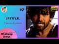 Namma Kattula Pattiyal WhatsApp Status 60fps Yuvan Shankar Raja Arya Pooja