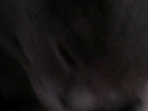 Мяу мяу мяу