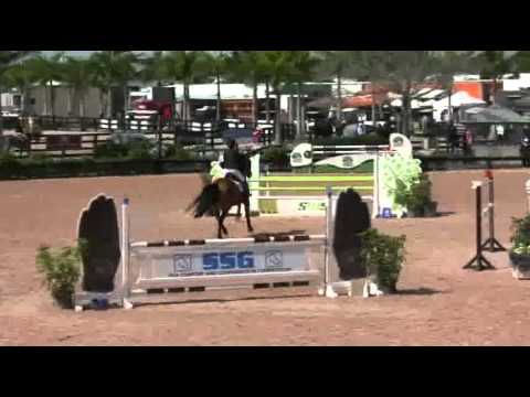 Video of ANDANTE ridden by CRISTINA LONGO from ShowNet!
