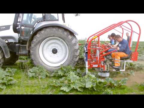 Bineuse sur le rang ZUZA 3 - 1, 2 ou 3 rangées - Éléments rotatifs pour cultures maraîchères et fruitières - JAGODA JPS Agromachines_8