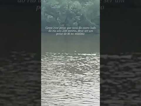 Río Ivaí Paraná