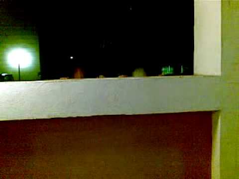 jamie u l mozz jitbelhu (bhas soltu)