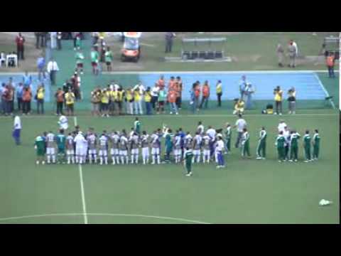 FLU 6 X 2 OLARIA (2)