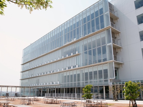 SugiyamaUniv のライブ ストリーム