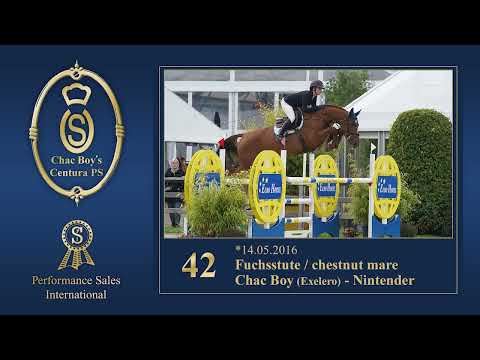 Cat. No. 42 Chac Boy's Centura PS