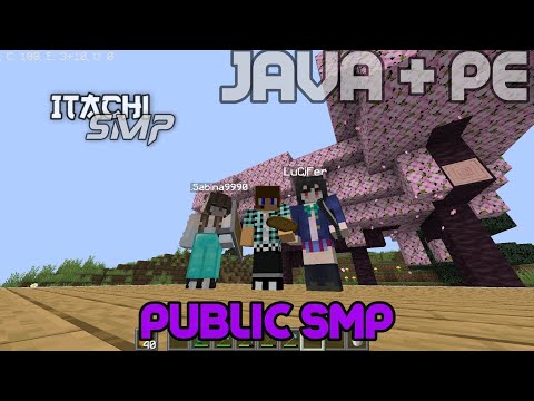 Minecraft Madness: SMP BedRock + JavaEdition LIVE