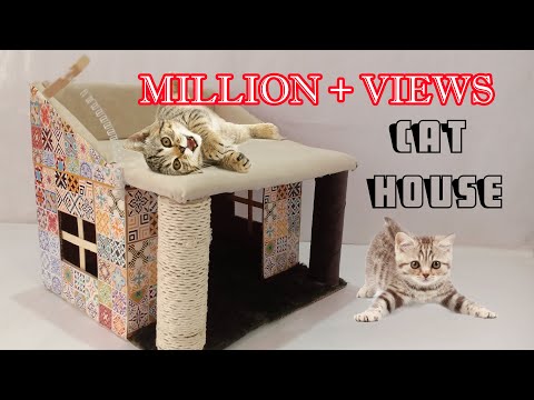 how to make amazing kitten | cat pet house from cardboard /Cat House / Kitten House