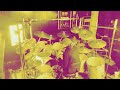 Bray Wyatt Theme - Code Orange - Shatter - Drum Cover